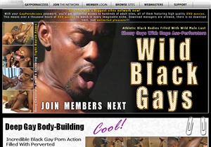 Wild Black Gays