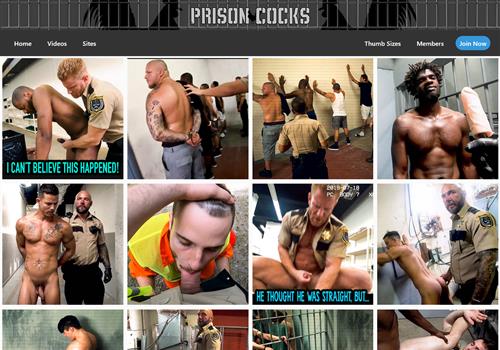 Prison Cocks